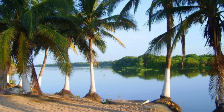 Iniciativa de desarrollo en Tomatlán: Proponen crear un Puerto Ecológico en Majahuas