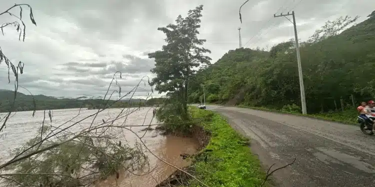 Alarma por un socavón en Los Sauces provocado por el río Ameca: Inician labores de contención Alarma por un socavón en Los Sauces provocado por el río Ameca: Inician labores de contención