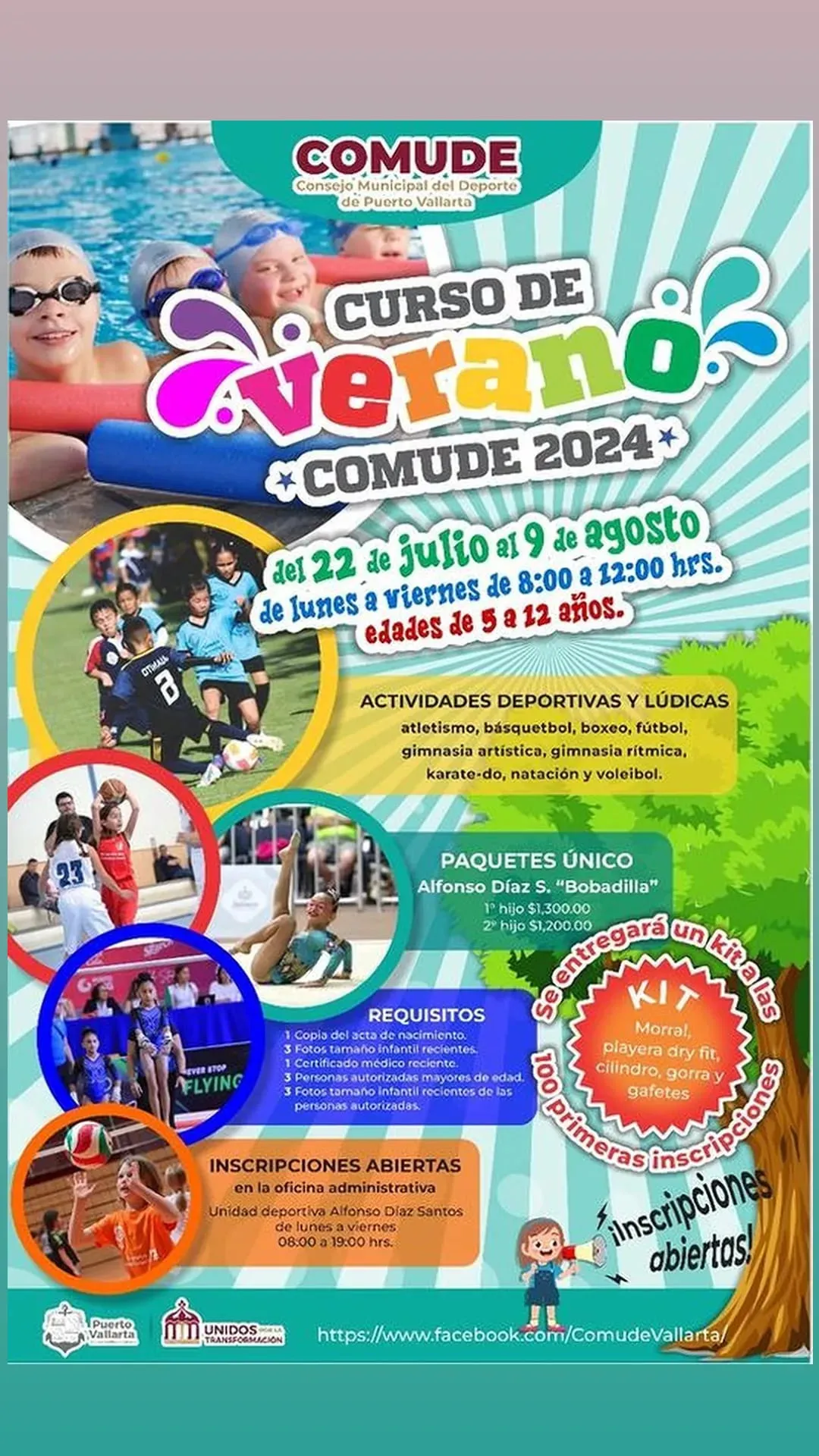 curso 33 33 11zon