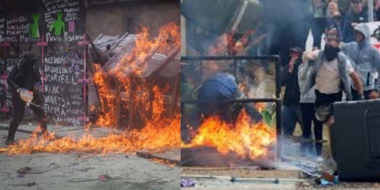 ¿Qué tienen en común la xenofobia y el feminismo?