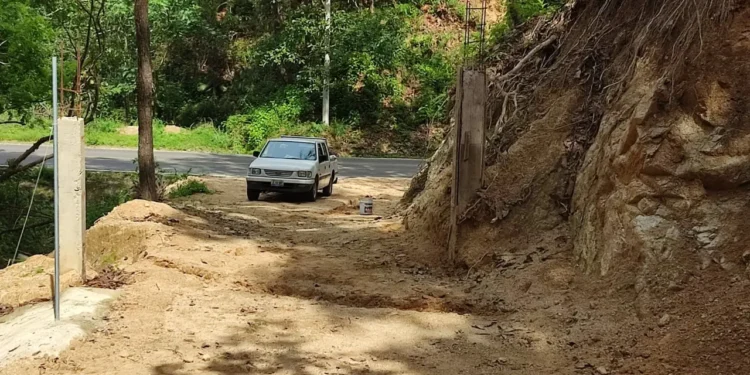 Terrenos en venta en Las Juntas y Los Veranos: Conoce el majestuoso «Abrazo del bosque»