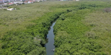 El Estero El Salado: Pulmón vital de Puerto Vallarta en riesgo El Estero El Salado: Pulmón vital de Puerto Vallarta en riesgo