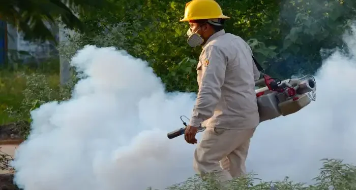 «Puerto Vallarta mantiene control del dengue»: Jaime Álvarez Zayas «Puerto Vallarta mantiene control del dengue»: Jaime Álvarez Zayas
