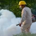 «Puerto Vallarta mantiene control del dengue»: Jaime Álvarez Zayas «Puerto Vallarta mantiene control del dengue»: Jaime Álvarez Zayas