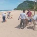 Bahía de Banderas impulsa certificación Blue Flag para Playa Lo de Marcos Bahía de Banderas impulsa certificación Blue Flag para Playa Lo de Marcos