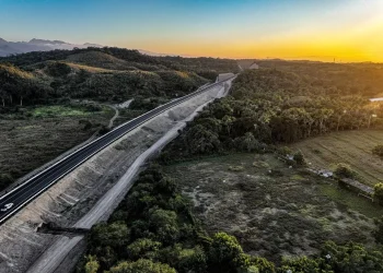 Gestionan compromiso ambiental para preservación de árboles en la autopista Vallarta – Guadalajara