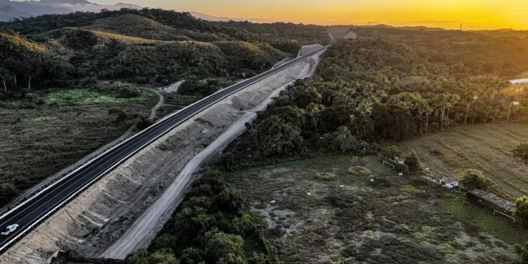Gestionan compromiso ambiental para preservación de árboles en la autopista Vallarta – Guadalajara Gestionan compromiso ambiental para preservación de árboles en la autopista Vallarta – Guadalajara