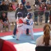 Puerto Vallarta impulsa el deporte con éxito en torneo de artes marciales Puerto Vallarta impulsa el deporte con éxito en torneo de artes marciales