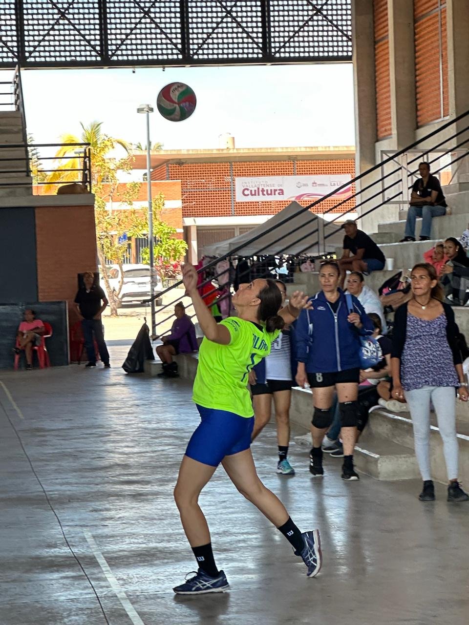 Voleibol Femenil
