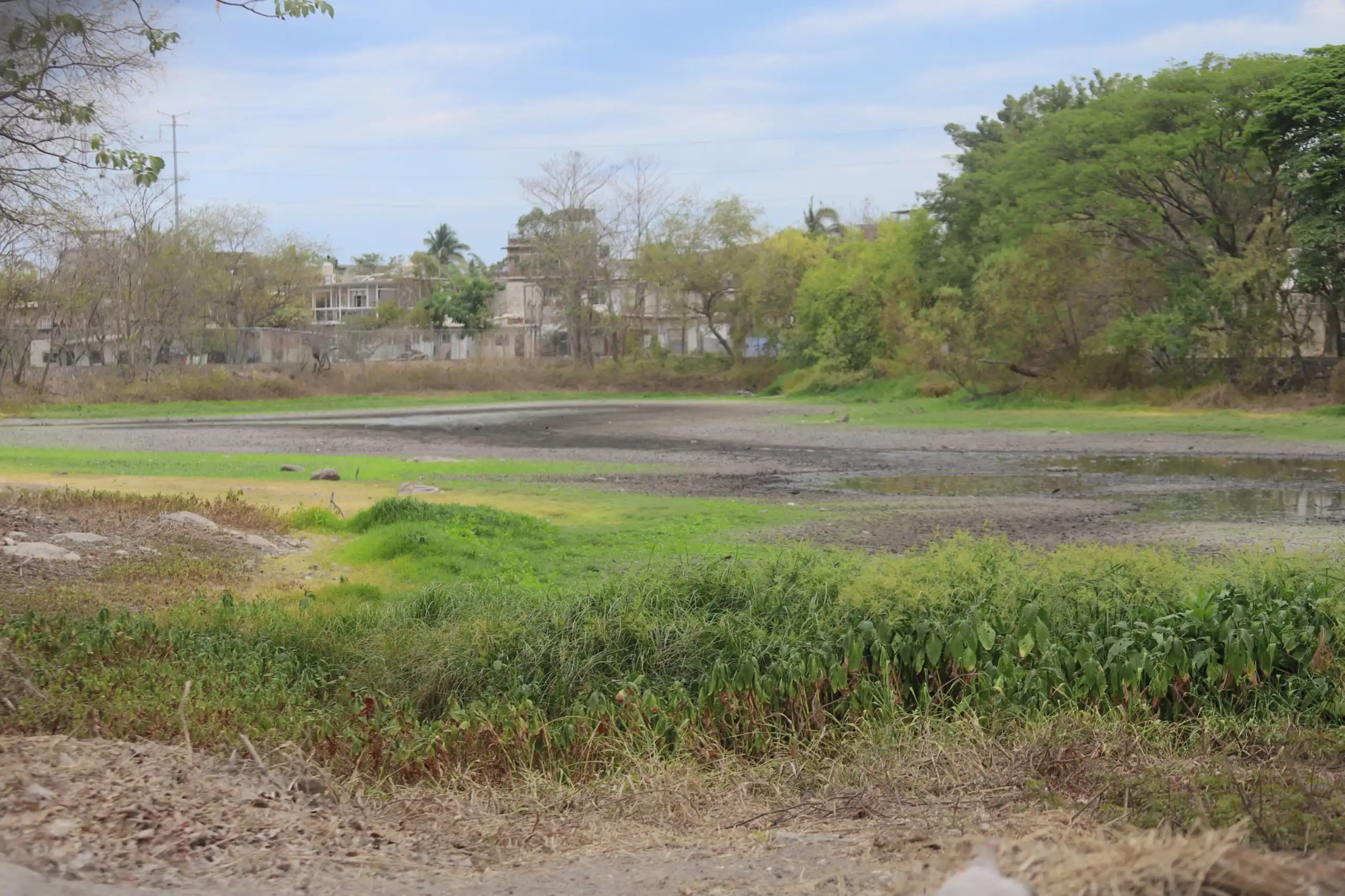 Gobierno de Puerto Vallarta impulsa histórico rescate de la Laguna de El Coapinole 1 laguna