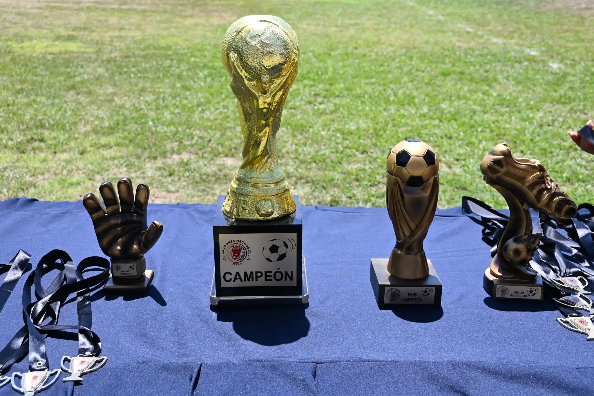 torneo leones negros 2025 A 11