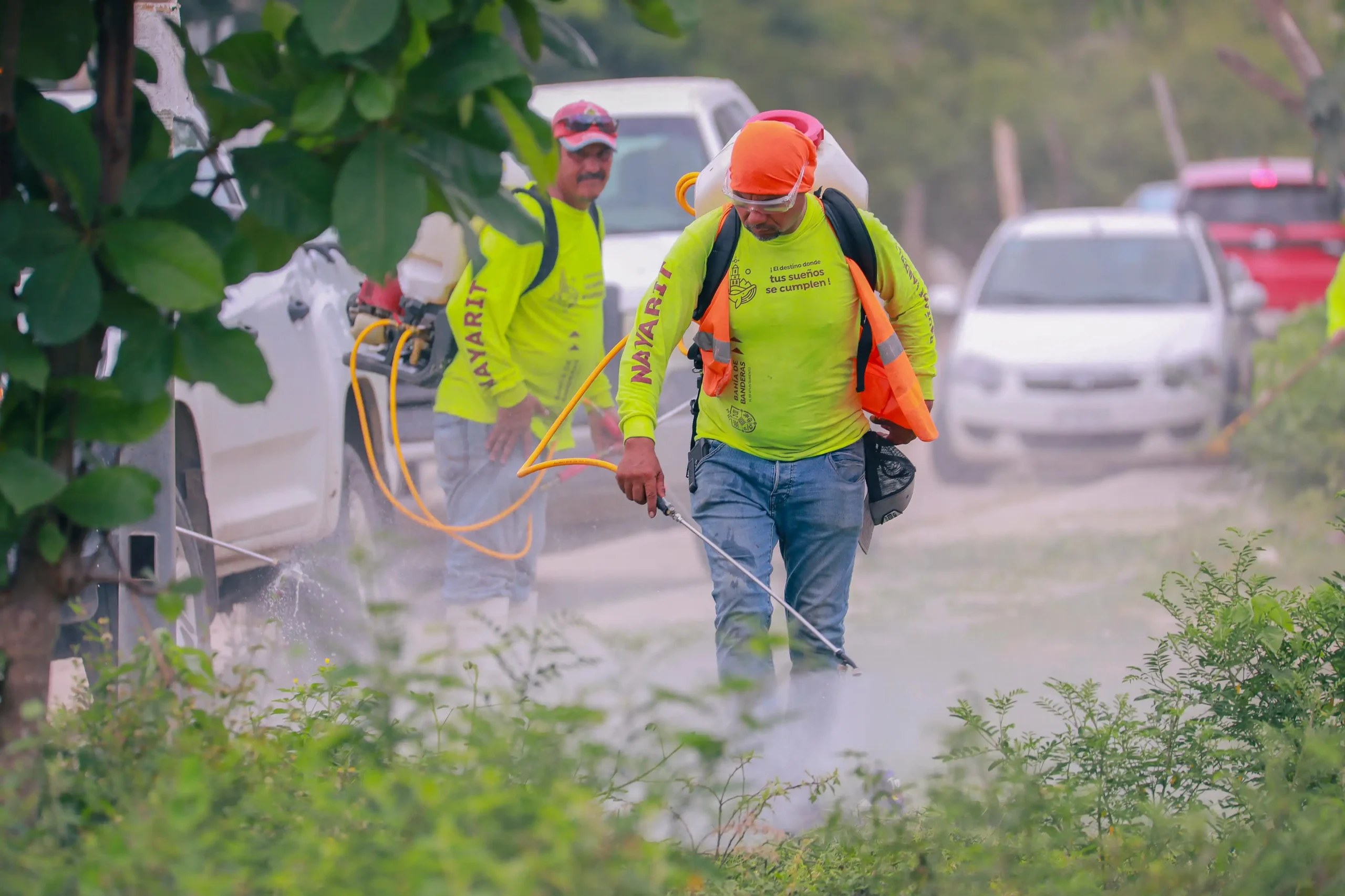 WhatsApp Image 2025 07 25 at 14.27.52 scaled