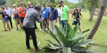 Impone Jalisco marca histórica en Concurso Mundial de Bruselas Impone Jalisco marca histórica en Concurso Mundial de Bruselas
