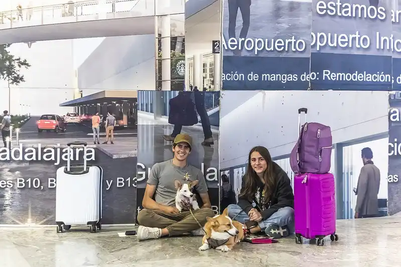 Diario de Vallarta & Nayarit 1 Latinoamérica