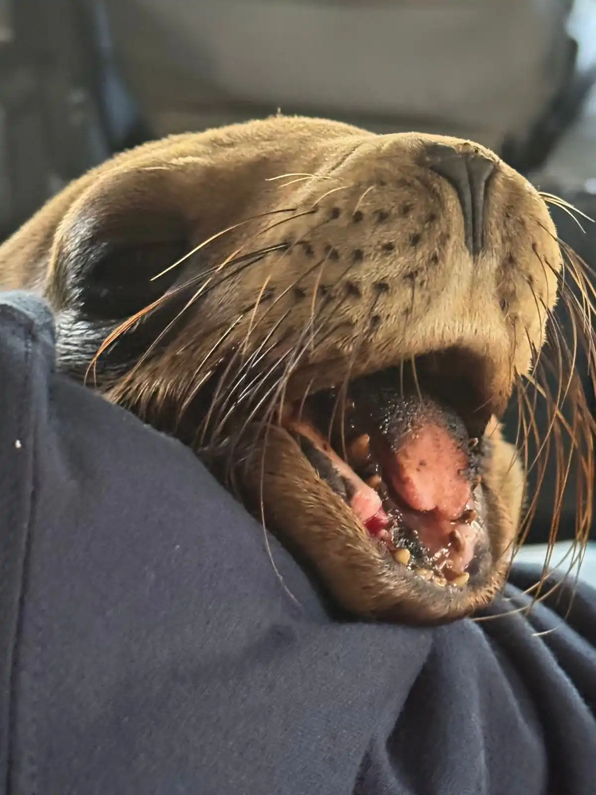 WhatsApp Image 2026 02 09 at 10.39.35