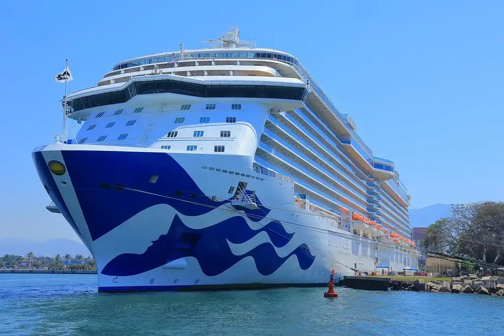 55155401771 7283d25b13 b