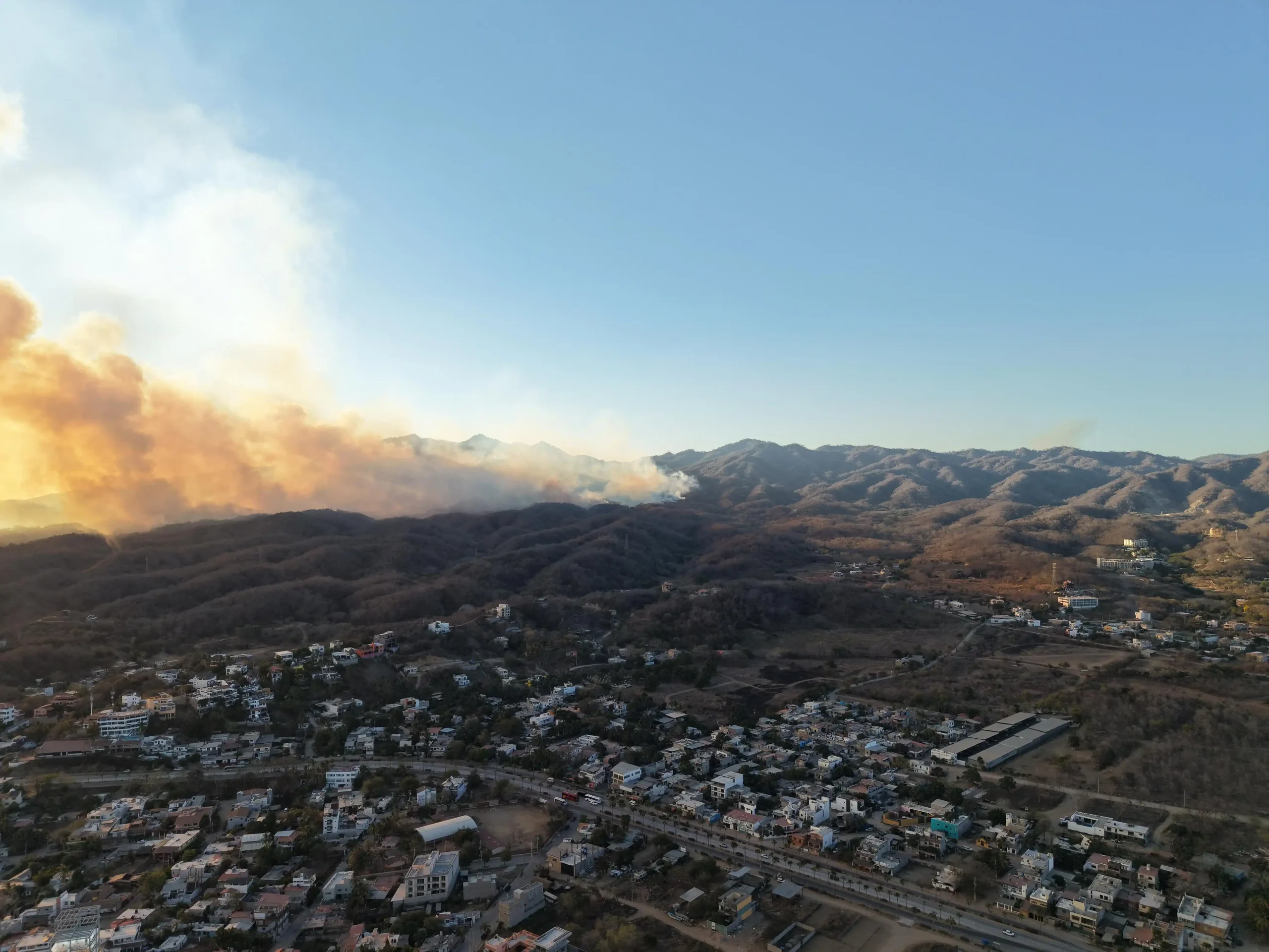 WhatsApp Image 2026 03 15 at 20.57.05 scaled