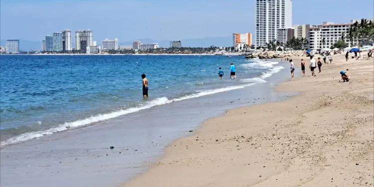 Playas de Puerto Vallarta son aptas para uso recreativo en Semana Santa: COFEPRIS