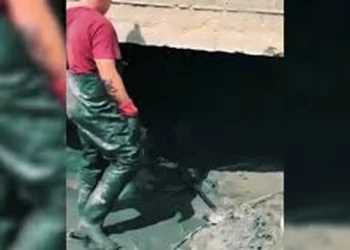 Ecocidio en Bahía de Banderas: Anuncian medidas tras muerte de más de 200 tortugas