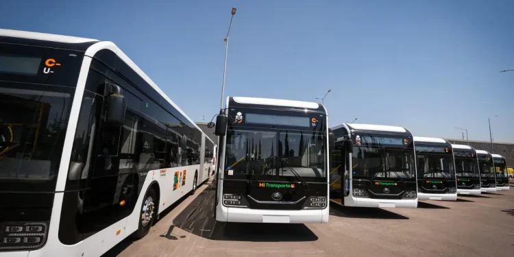 Puerto Vallarta recibe nuevos camiones de transporte eléctrico: ¿cuándo inicia operaciones?