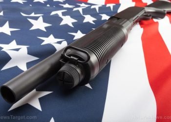 ¿Requisa casa por casa?: Policía de Virginia niega los rumores de nuevo proyecto de ley sobre armas