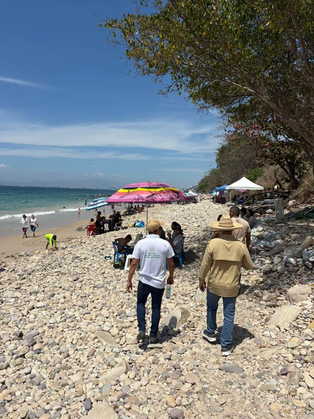 WhatsApp Image 2026 04 08 at 13.03.13 1