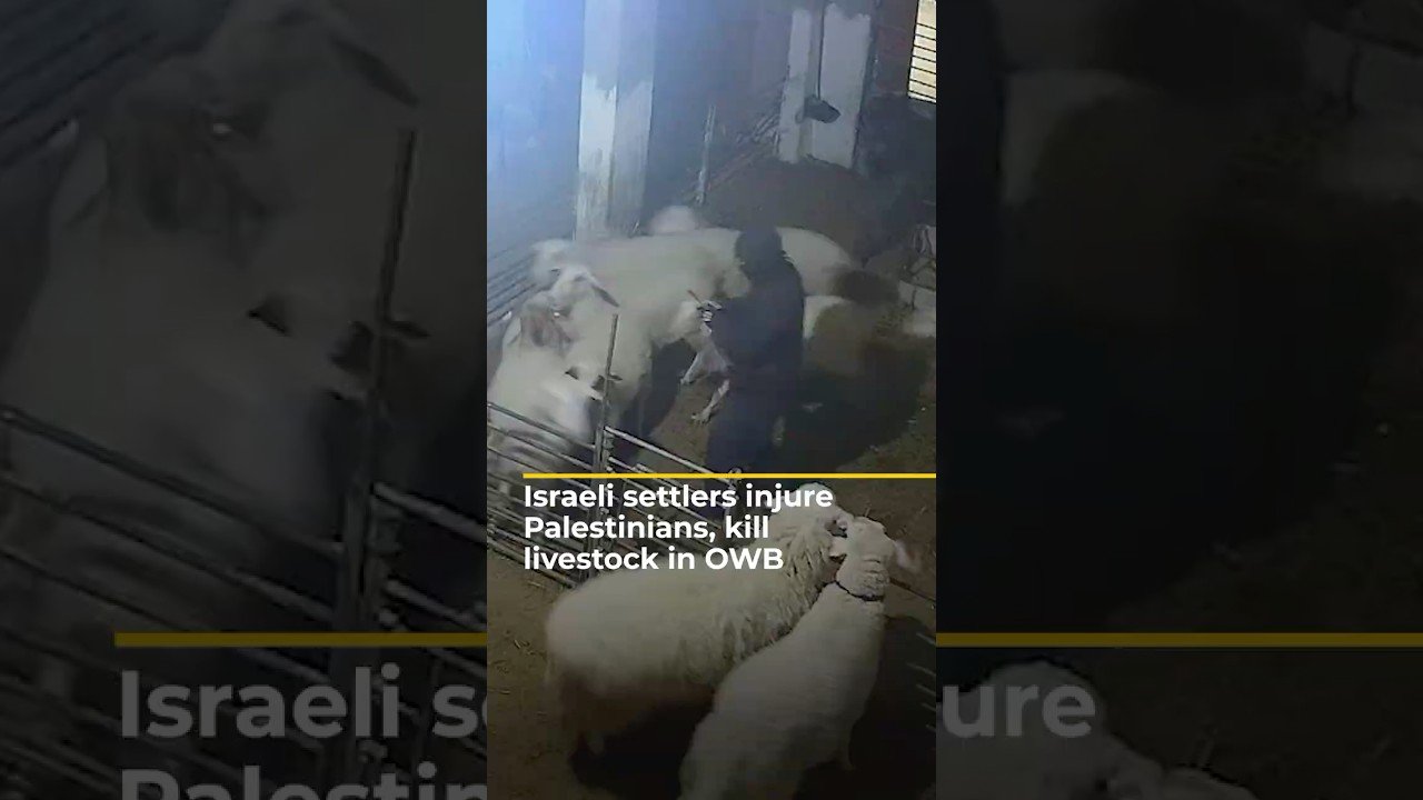 Israel es un Estado de apartheid, y sus extrañas leyes matrimoniales nos lo demuestran 1 YouTube thumbnail