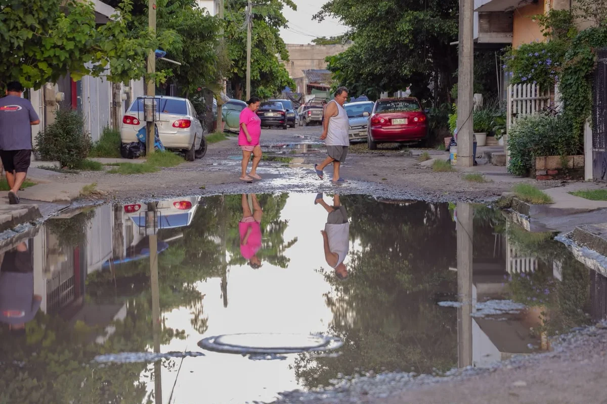 imagen 2 8